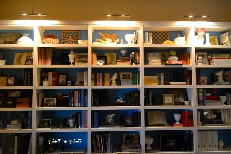 Most Popular Bookcases Lighting For Bookcases Ideas: Shelf Lighting – Lights For Inside Bookcases And (View 1 of 15)