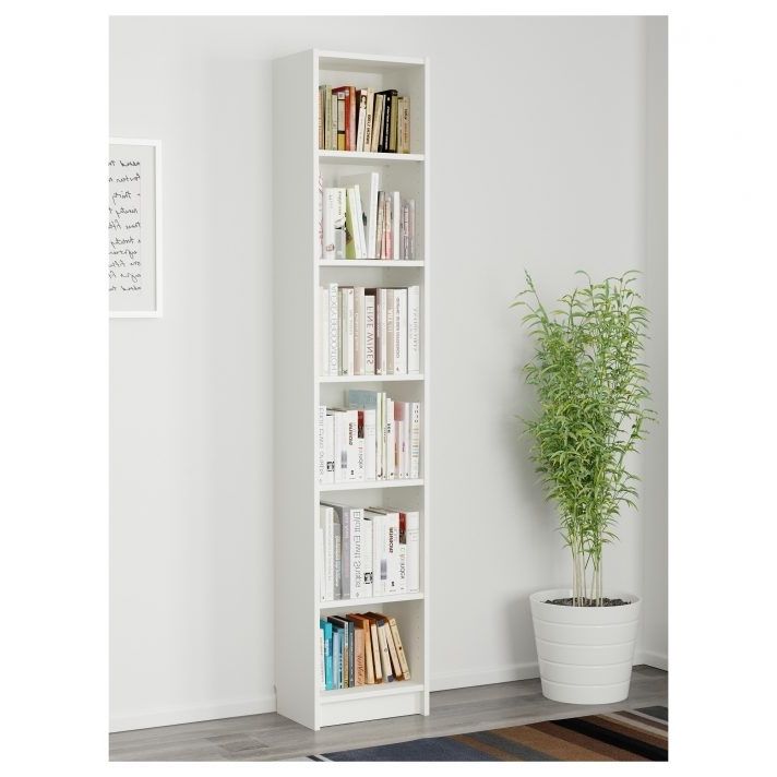 Preferred Bookcase Remarkable Narrow With Doors Images Design Tall Inside Narrow Tall Bookcases (View 4 of 15)