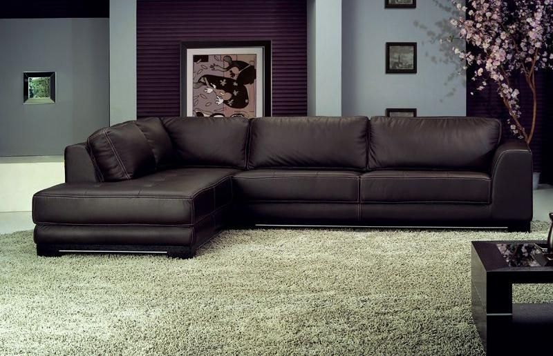 Leather Sectional Sofas With Chaise For Famous Leather Sectional Sofas With Chaise Lounge Images Leather Leather (View 4 of 15)