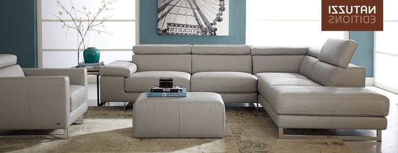 Natuzzi Sectional Sofas Inside Most Current Luxury Natuzzi Sectional Sofa 52 With Additional Living Room Sofa (View 4 of 10)
