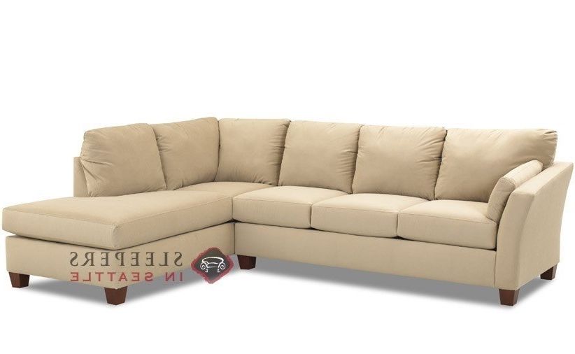 Newest Enchanting Sleeper Sectional Sofa With Chaise Chaise Sectional For Sleeper Sectionals With Chaise (View 1 of 15)
