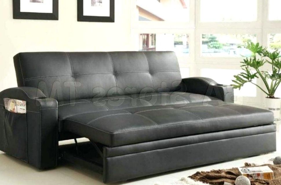 Preferred Sectional Sofas With Queen Size Sleeper With Leather Sofa Sleepers Queen Size Medium Size Of Sectional Sofas (View 7 of 10)