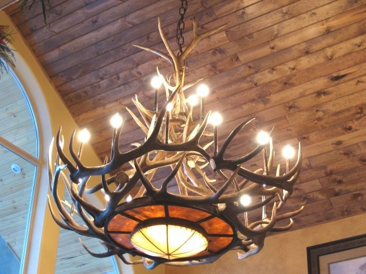Antlers Chandeliers Within Most Popular Antler Chandeliers For Sale. Real Mccoy! (Photo 2 of 10)