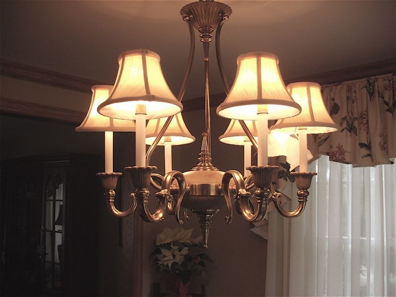 Chandelier Candle Light Shades, Replacing Liners Only Within 2017 Chandelier Light Shades (Photo 1 of 10)