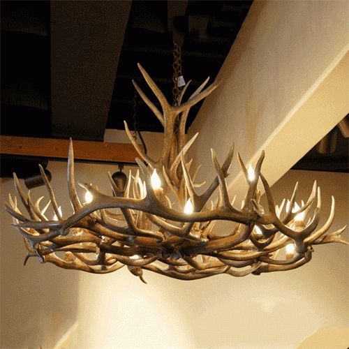 Large Antler Chandelier Within Widely Used Real Antler Chandeliers (View 3 of 10)