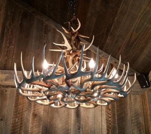Well Liked Antler Chandeliers And Lighting Pertaining To Unique Antler Chandeliers In Northwest Montana (Photo 5 of 10)