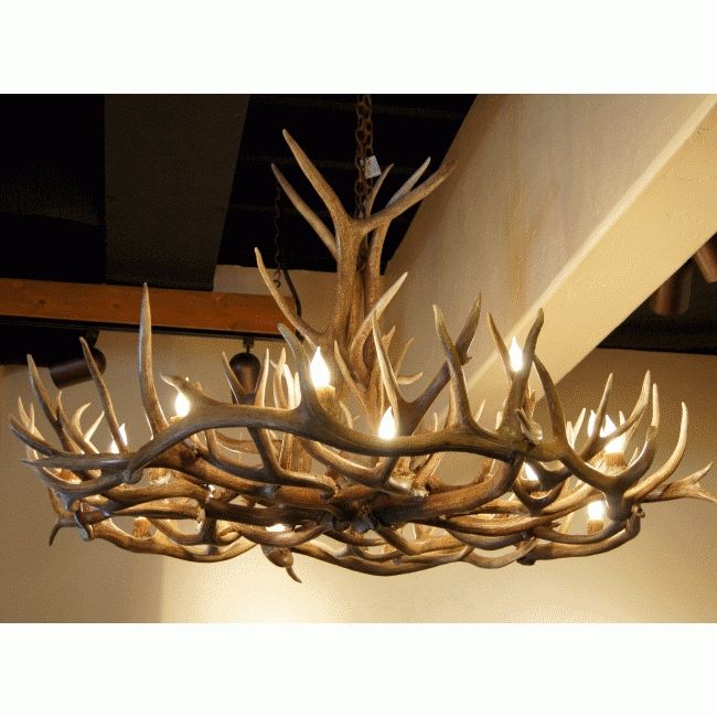 Featured Photo of 2024 Best of Antler Chandeliers and Lighting