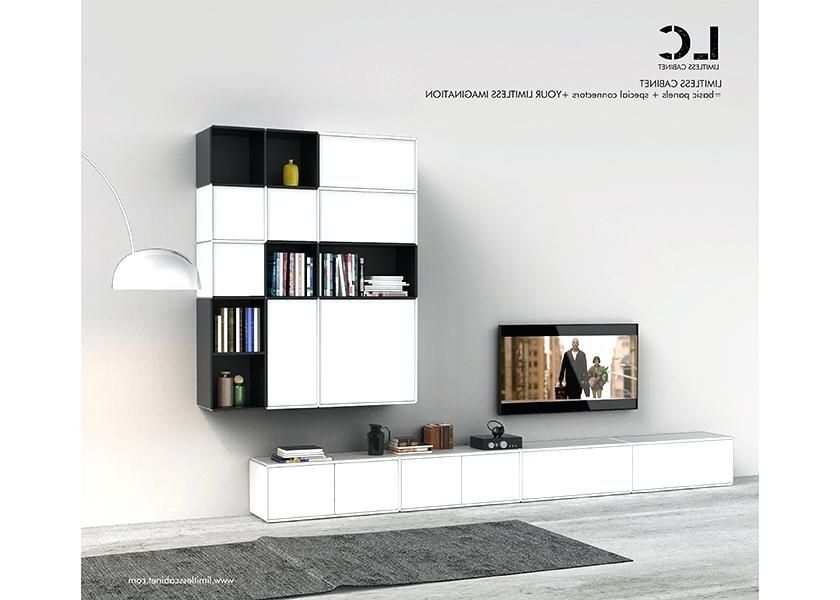 Modular Tv Stands Furniture In Best And Newest Modular Tv Stands Furniture Stand Storage Systems Limitless Cabinet (View 10 of 20)