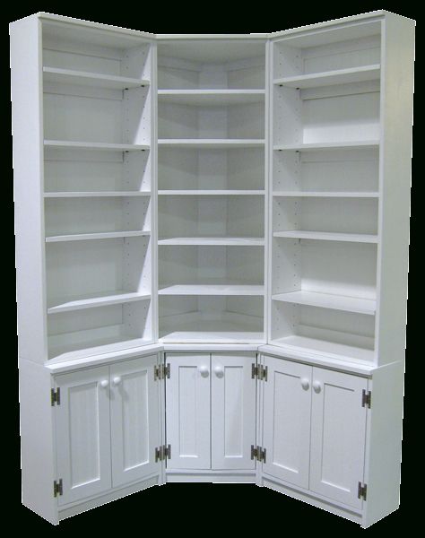 Custom Corner Bookshelf Unit – Sawdust City Custom Furniture Within Most Up To Date Corner Unit Bookcases (View 17 of 20)