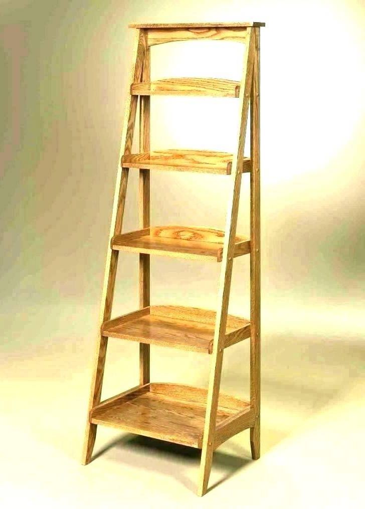 Ladder Style Bookcase Bathroom Shelf Black Shelving Intended For Trendy Brock Ladder Bookcases (Photo 17 of 20)