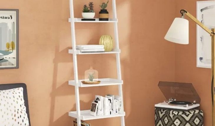 Latest Massena Ladder Bookcases Throughout Massena Ladder Bookcase (View 12 of 20)