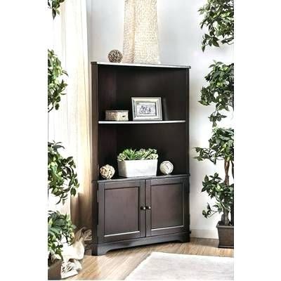 Well Liked Cifuentes Dual Etagere Bookcases Pertaining To 20 Wide Bookcase – Resumesguru (View 9 of 20)