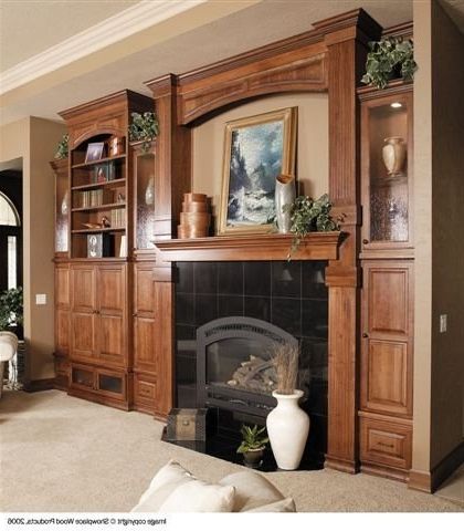 Nazarene 40" H X 52" W Standard Bookcase Intended For Most Recent Pinshowplace Cabinetry On (dp) Fireplace Surrounds (View 10 of 30)