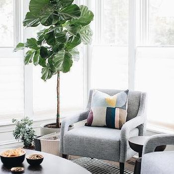 Most Recently Released Lucy Cane Grey Wide Tv Stands For Fiddle Leaf Fig – Transitional – Living Room – Elizabeth (View 5 of 10)