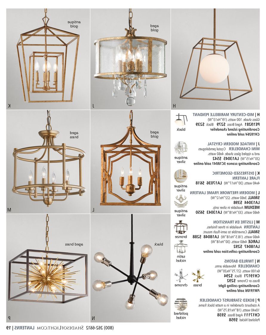 2020 Shades Of Light – Exotic Elegance 2020 – Driftwood Entwined Ovals Pendant –  5 Light Within Weathered Driftwood And Gold Lantern Chandeliers (View 5 of 10)