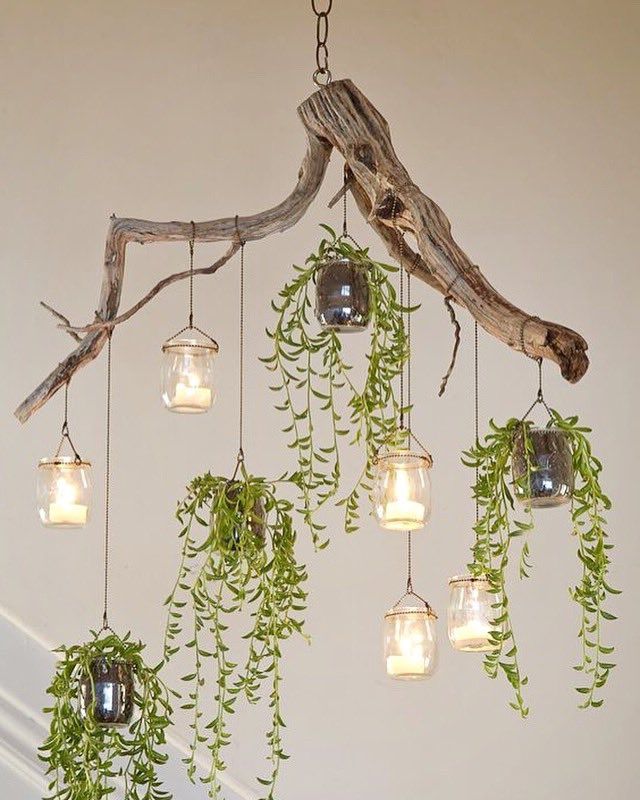 Fashionable Driftwood Lantern Chandeliers Intended For Upcycle That On Twitter: "lovely Green Driftwood Chandelier #upcycle  #succulents Https://t (View 9 of 10)