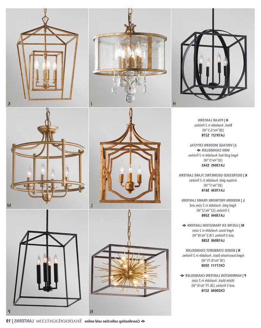 Latest Weathered Driftwood And Gold Lantern Chandeliers Throughout Shades Of Light – New England Nostalgia 2020 – Driftwood Entwined Ovals  Pendant – 5 Light (View 3 of 10)