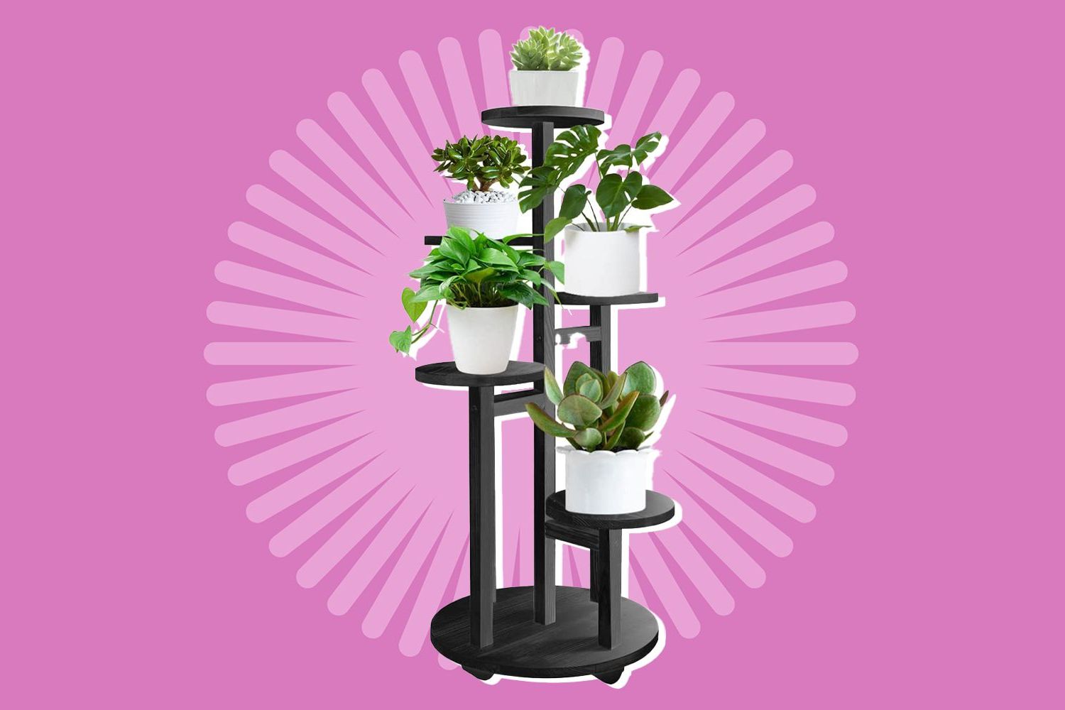 12 Inch Plant Stands Within Famous The 13 Best Plant Stands Of  (View 10 of 10)
