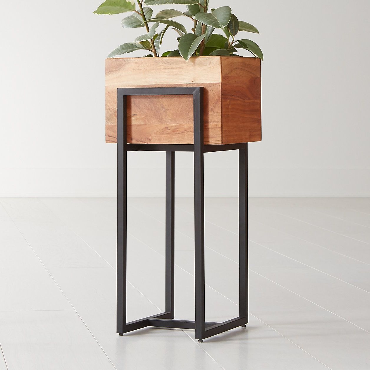 15 Best Indoor Plant Stands That Seriously Stand Out (View 9 of 10)