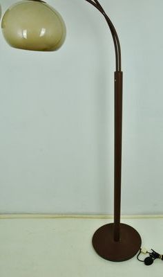 2 Arm Standing Lamps With Most Popular 2 Arm Floor Lamp From Dijkstra Lampen, 1960s For Sale At Pamono (View 9 of 10)
