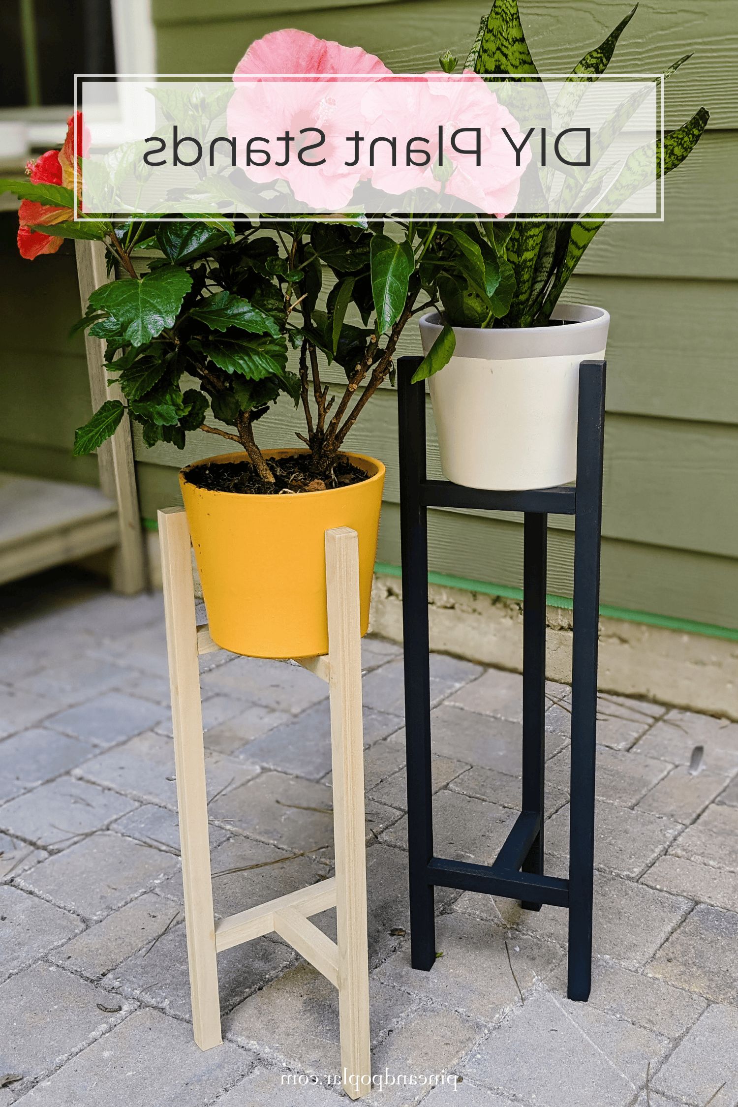 2019 The Easiest Diy Plant Stand Plans Pertaining To Deluxe Plant Stands (View 10 of 10)