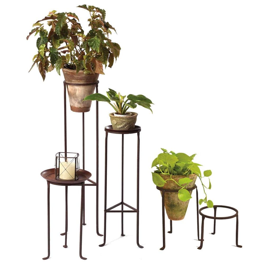 2020 Wrought Iron Plant Stands Within Iron Plant Stands – 8" Diameter – Campo De' Fiori – Naturally Mossed Terra  Cotta Planters, Carved Stone, Forged Iron, Cast Bronze, Distinctive  Lighting, Zinc And More For Your Home And Garden (View 1 of 10)