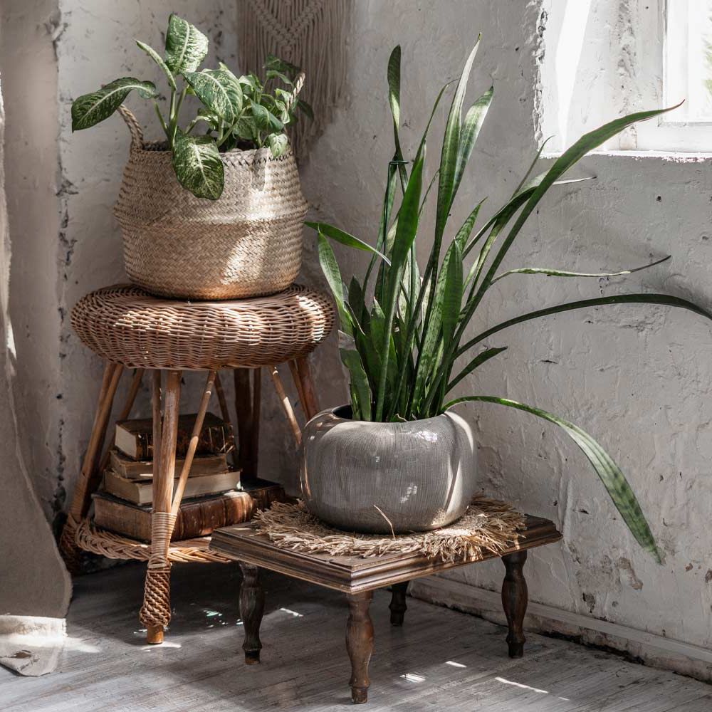 31 Exclusive Plant Stand Ideas To Introduce Into Your Interior Pertaining To Fashionable Rustic Plant Stands (View 3 of 10)
