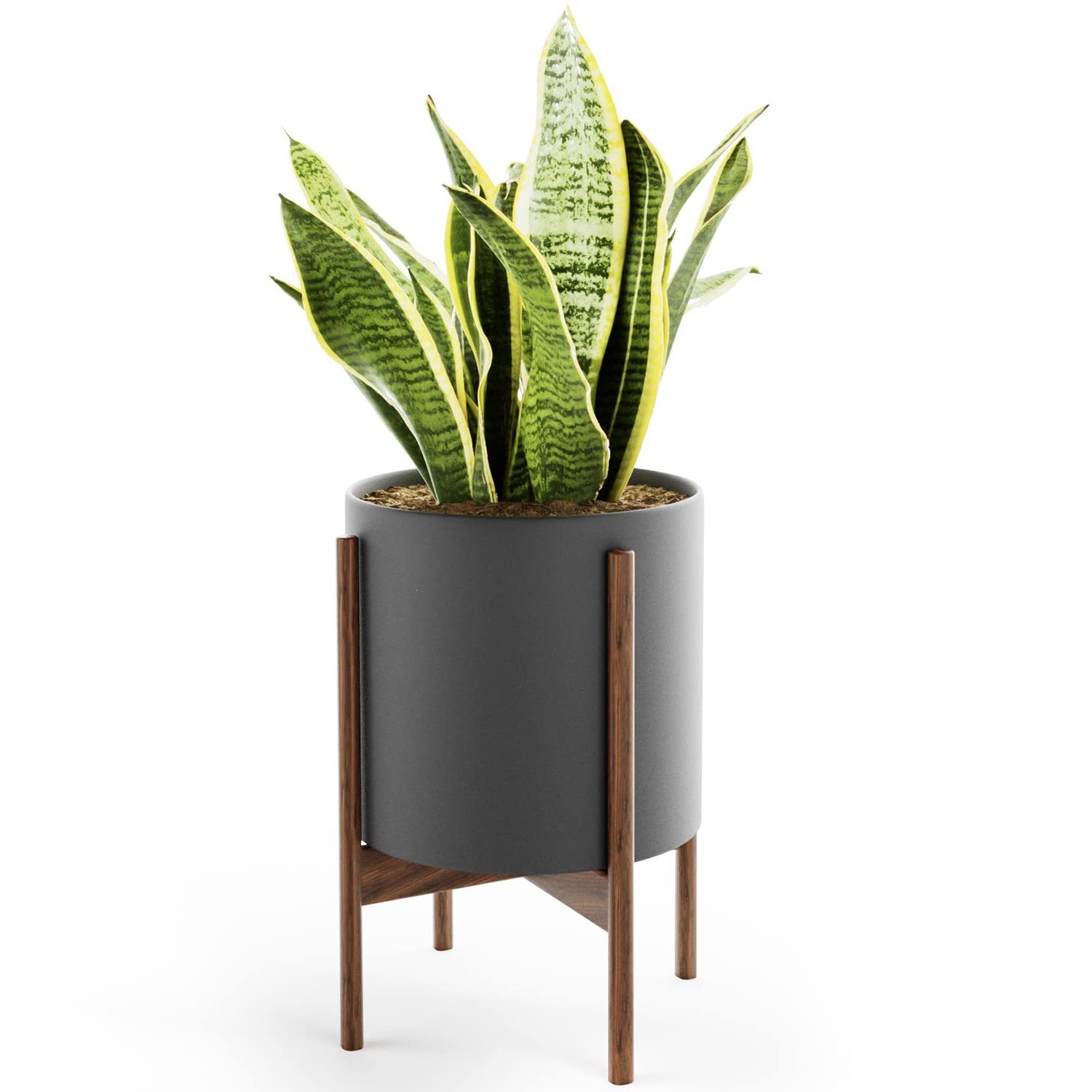 Amazon : Omysa Mid Century Plant Stand With Pot – 10 Inch Plant Pot For  Indoor Plants & Flowers – Mid Century Modern Ceramic Planter – Black :  Patio, Lawn & Garden For Recent 10 Inch Plant Stands (View 5 of 10)