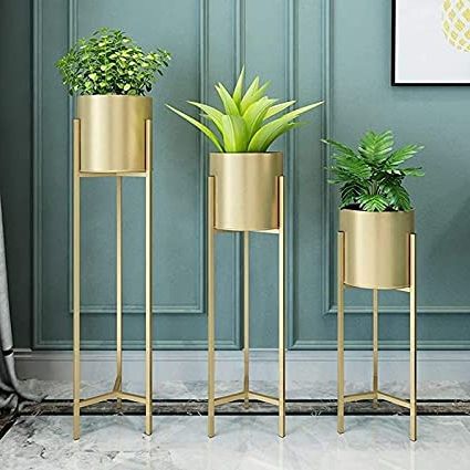Ancient Grey Plant Stands Throughout Most Up To Date Modern Metal Floor Tall Indoor Plant Stand Flower Stands For Living Room  Bedroom Display Plant Stand With Planter Pot  (set Of 3) (gold) (gold) :  Amazon (View 8 of 10)
