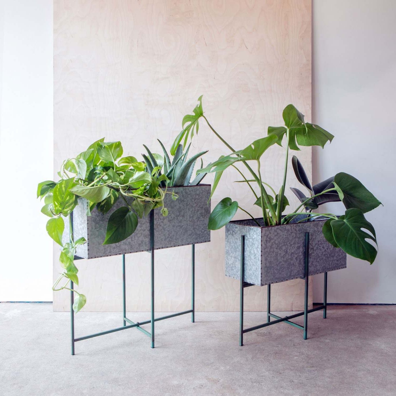 Best And Newest Set Of Two Rectangular Zinc Plant Stands (View 1 of 10)