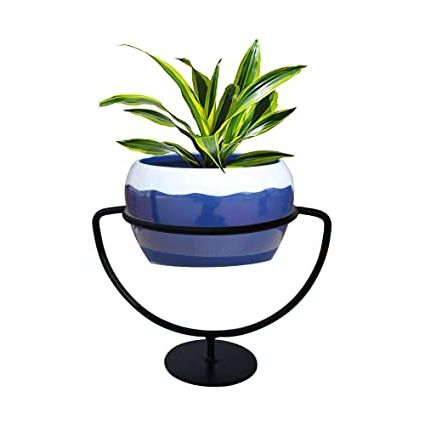 Best And Newest Trustbasket Trophy Plant Stand With Ceramic Like Metal Bowl (blue) –  Premium Strong Durable Flower Pot Stand With Container For Home, Balcony,  Indoor, Living Room Decor, Office Use : Amazon (View 6 of 10)