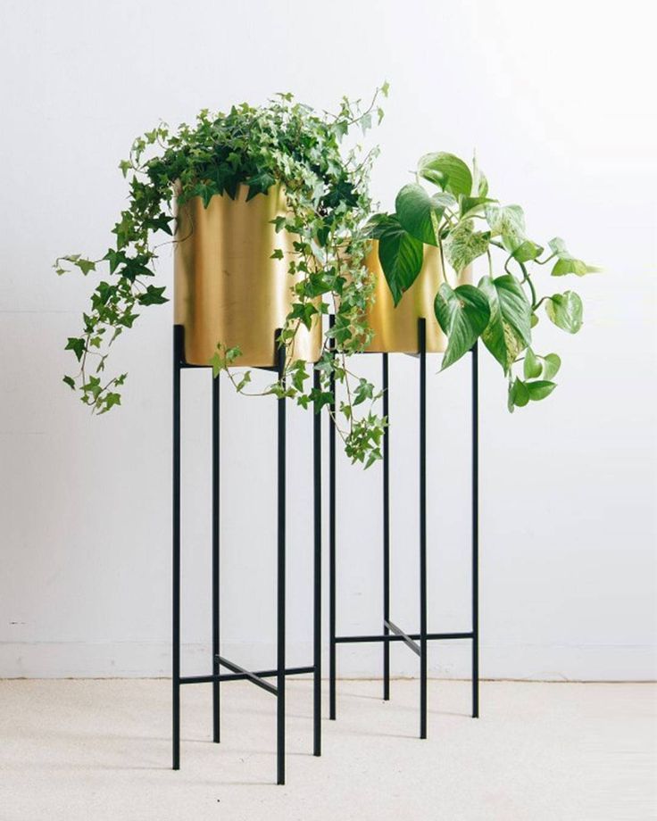 Bring Nature Into The Home With Our Deni Plant Stand And Brass Pot (View 8 of 10)