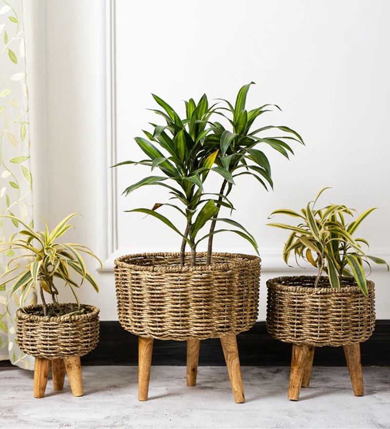 Buy Brown Metal Planter Stand With Jute Rope And Wooden Legs, Set Of 3 Foliyaj Online – Metal Planter Stands – Pots & Planters – Home Decor –  Pepperfry Product With Fashionable Brown Metal Plant Stands (View 5 of 10)