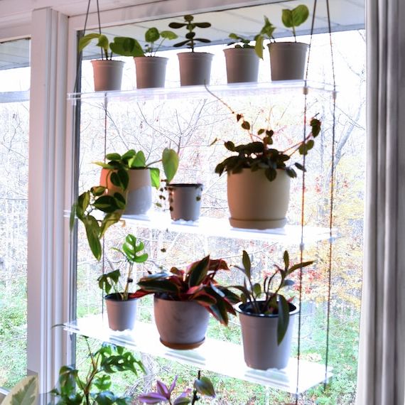 Clear Acrylic Window Plant Shelf Hanging Plant Shelf Indoor – Etsy With Regard To Well Liked Clear Plant Stands (View 4 of 10)