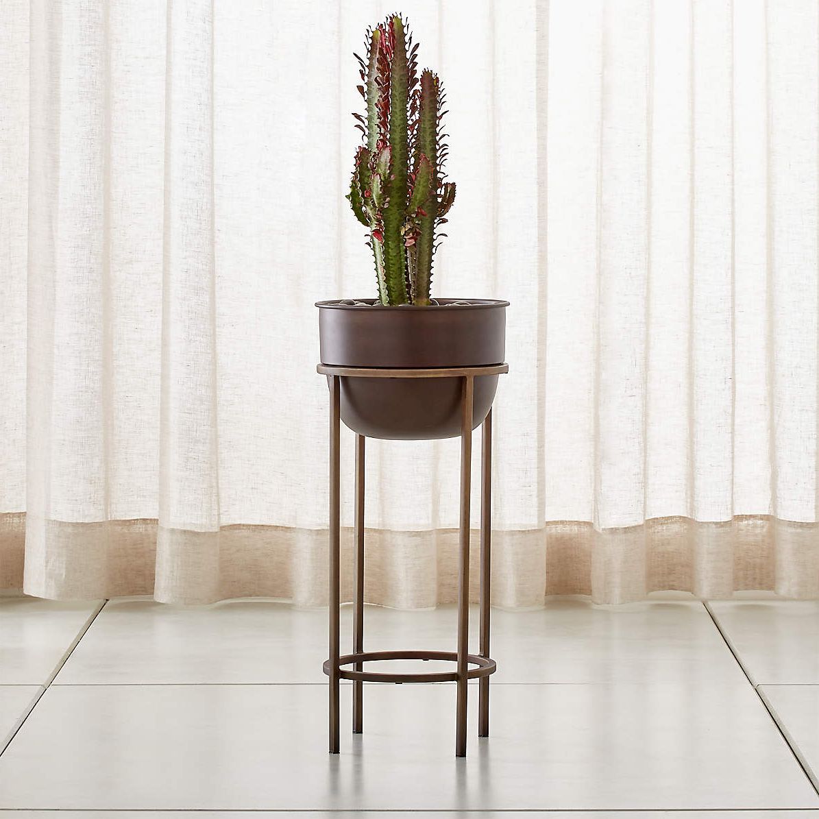 Crate & Barrel In Most Recently Released Medium Plant Stands (View 4 of 10)