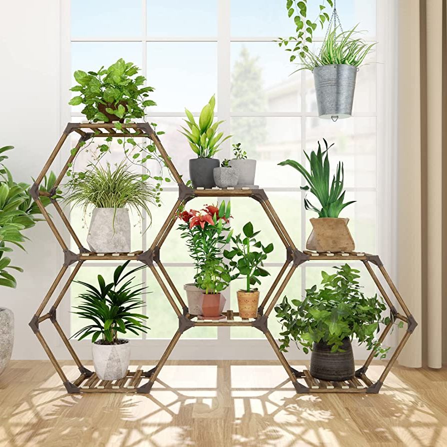 Current Hexagon Plant Stands For Allinside Hexagonal Plant Stand Indoor, Wood Outdoor Plant Shelf For Plants,  7 Potted Ladder Plant Holder Transformable Plant Pot Stand For Corner  Window Garden Balcony Living Room – 7 Tiers (View 2 of 10)