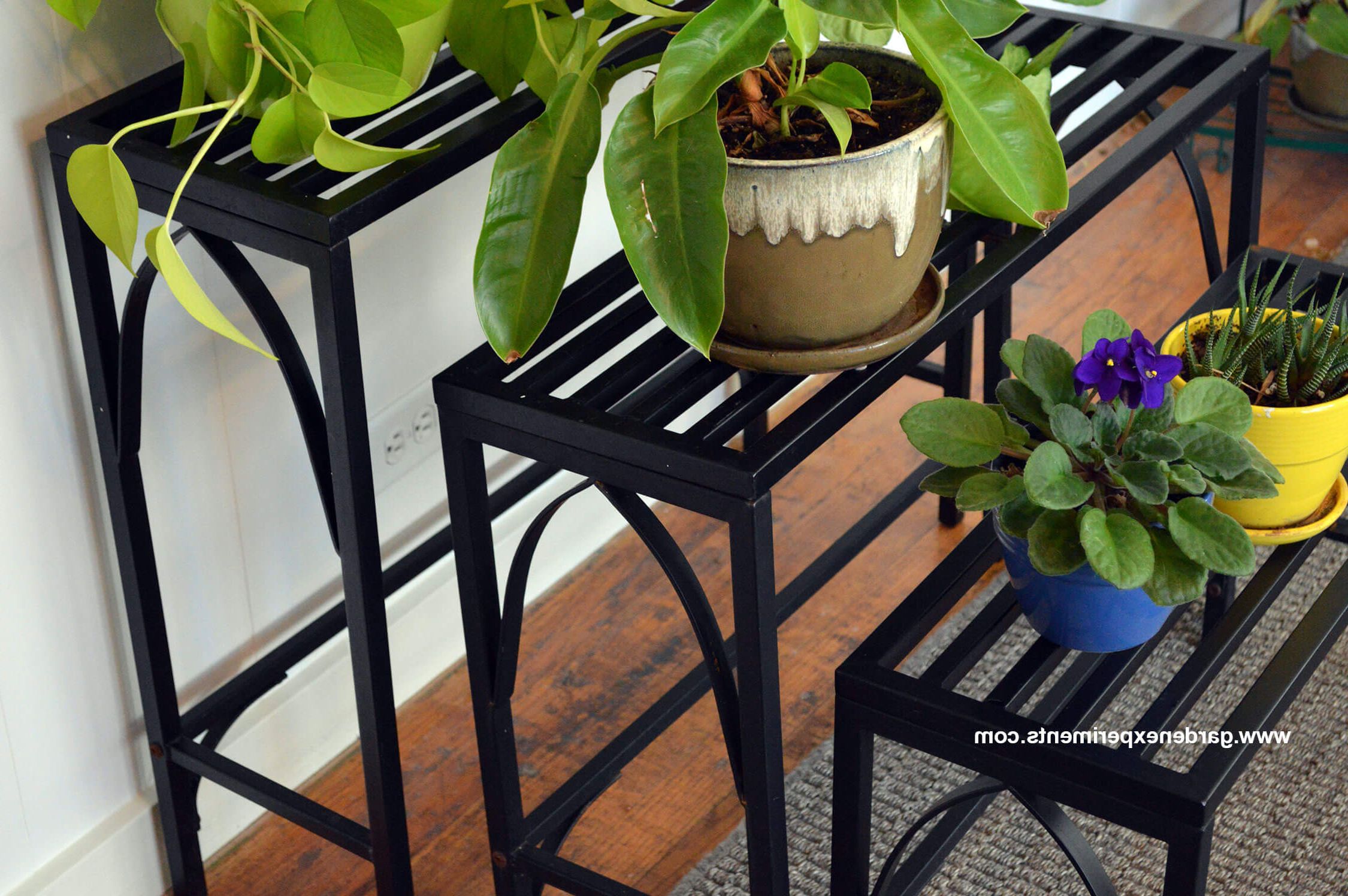 Current Outdoor Plant Stands Intended For Sturdy Metal Plant Stand Holds 12 Plants (View 6 of 10)
