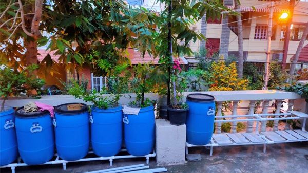 Diy Pvc Pipe Stands For Terrace Garden – Green Growers With Most Up To Date Pvc Plant Stands (View 8 of 10)