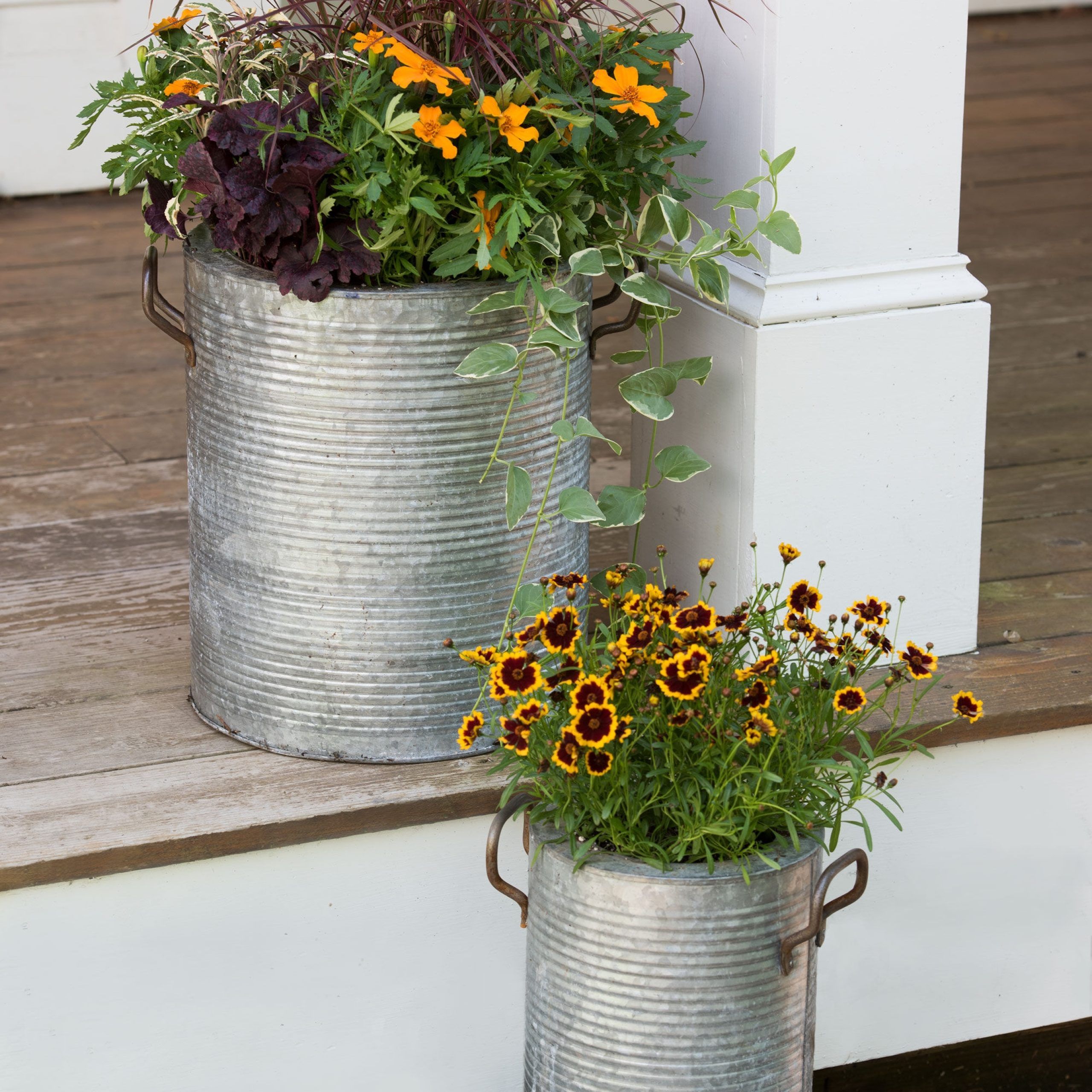 Galvanized Metal Planters With A Rim And Handles (View 6 of 10)