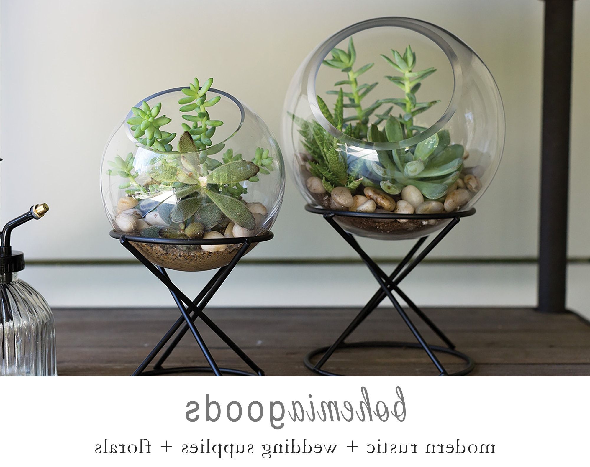 Globe Glass Terrarium Indoor Planters Terrarium Centerpiece – Etsy Israel With Most Recent Globe Plant Stands (View 7 of 10)