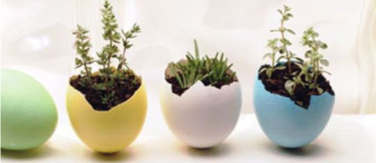 How To Make Eggshell Planters Regarding Preferred Eggshell Plant Stands (View 6 of 10)