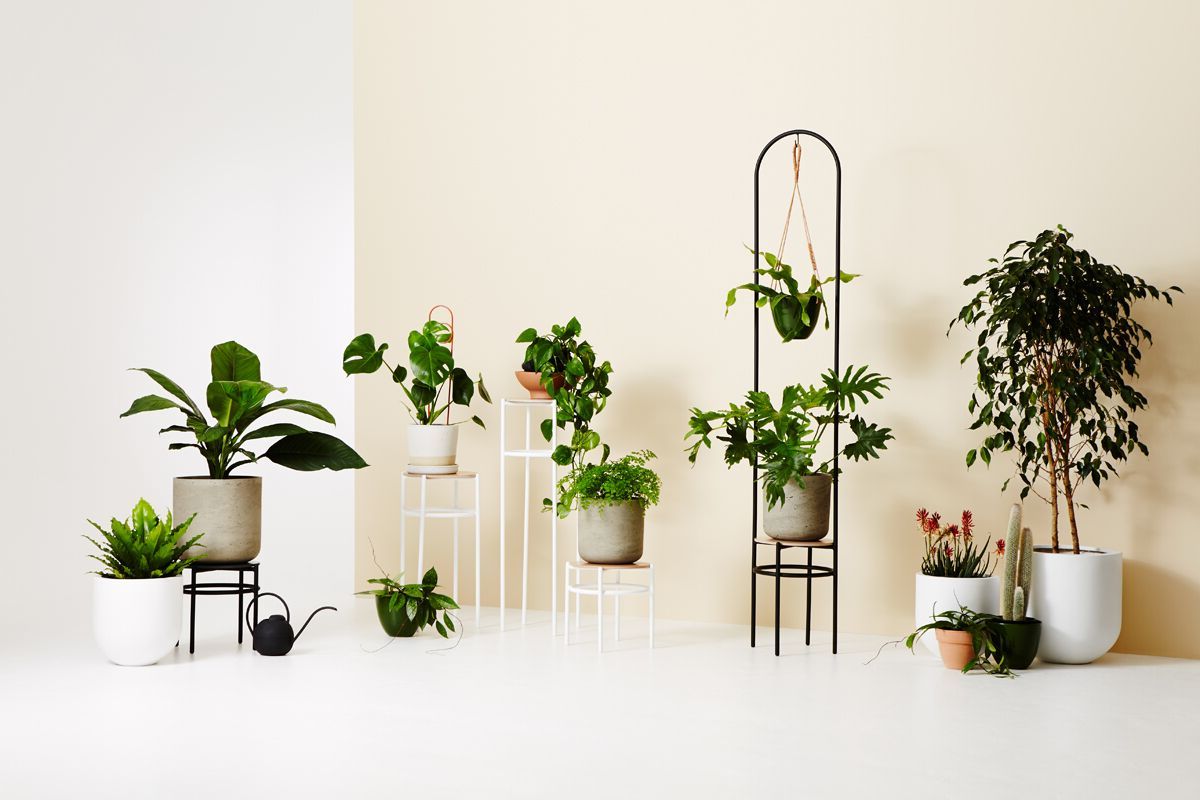 Ivory Plant Stands Regarding Most Recently Released 3d Printed Vases + Concrete Plant Stands: Ivy Muse's New Range – The  Interiors Addict (View 9 of 10)