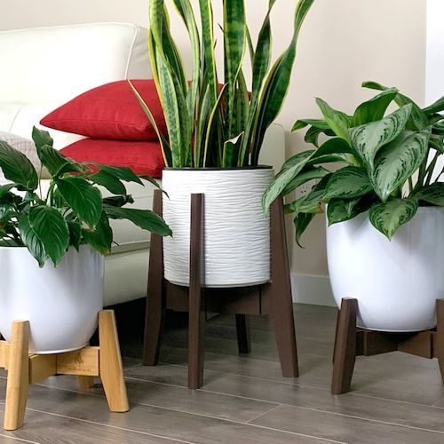 Latest Adjustable Plant Stand With Pot 10 Inch Porcelain Ceramic – Etsy Within 10 Inch Plant Stands (View 7 of 10)