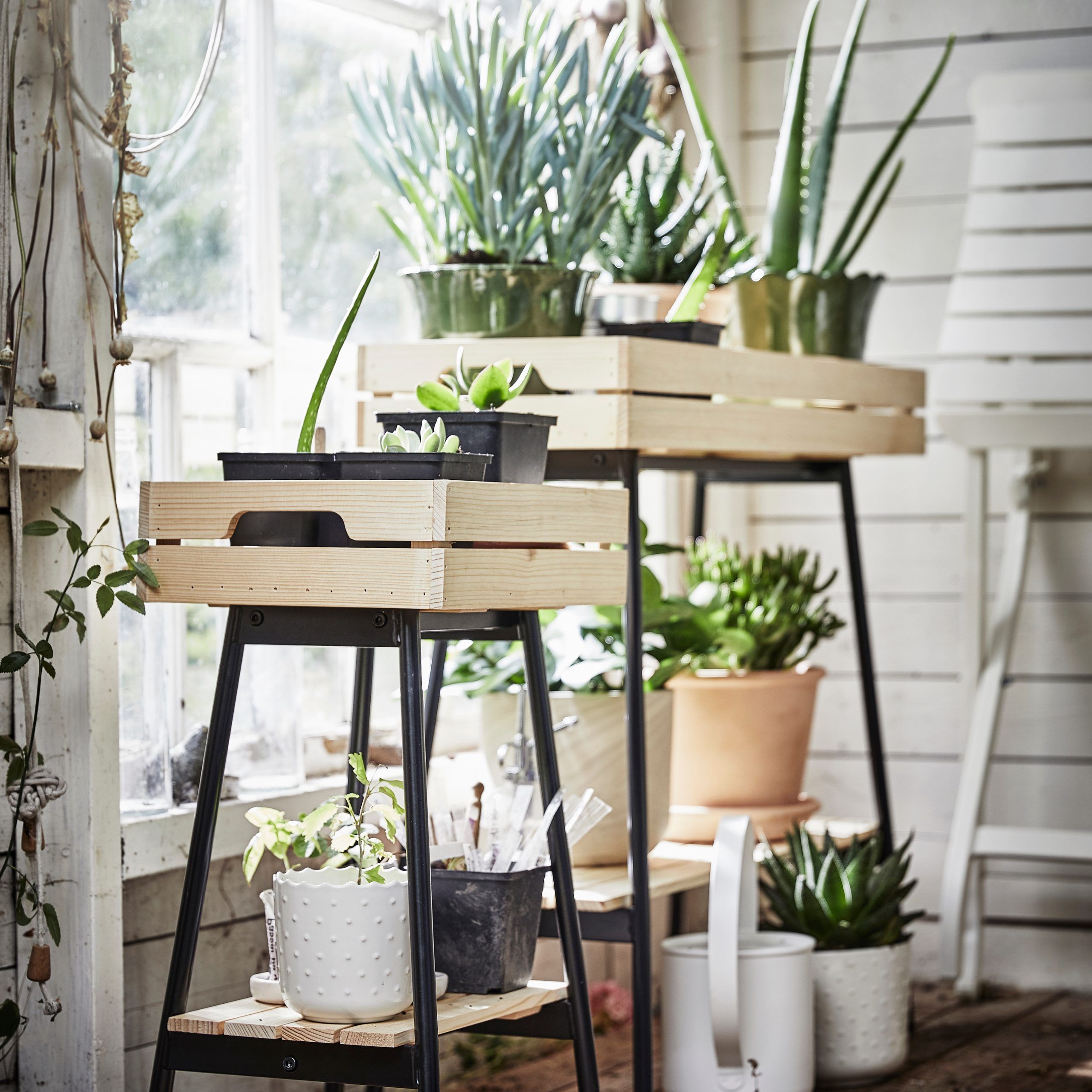 Latest Green Plant Stands Regarding A Sturdy Plant Stand For Your Green Companions – Ikea (View 3 of 10)