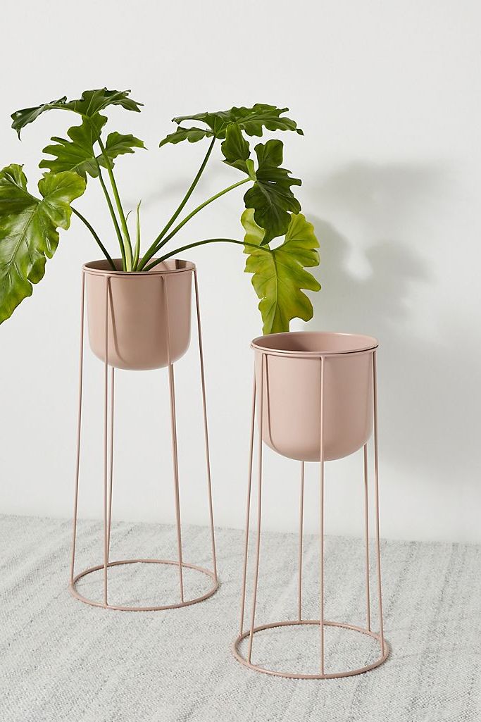 Modern Plant Stands Inside Well Liked 15 Best Indoor Plant Stands That Seriously Stand Out (View 4 of 10)