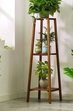 Most Recent 39 Best Plant Stands  (View 10 of 10)