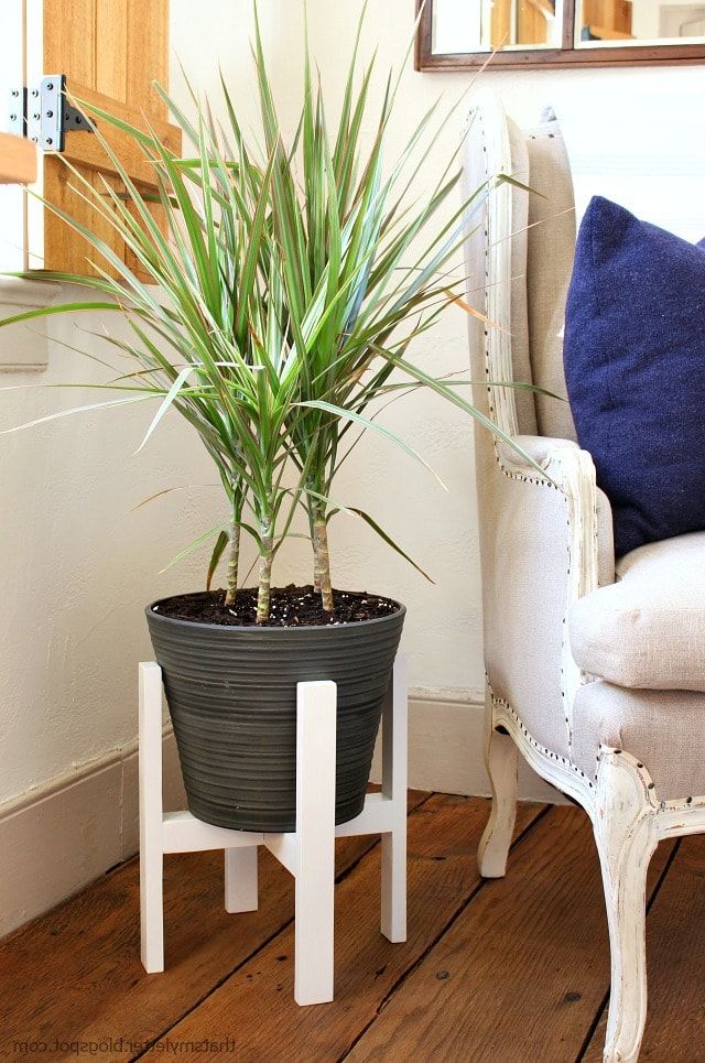 Painted Wood Plant Stands Pertaining To Fashionable Diy Plant Stand With Free Plans – Jaime Costiglio (View 7 of 10)