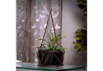 [%plant Stand @upto 55% Off: Buy Pot Stands Online In India | Wooden Street Regarding Favorite Ancient Grey Plant Stands|ancient Grey Plant Stands For Current Plant Stand @upto 55% Off: Buy Pot Stands Online In India | Wooden Street|most Recently Released Ancient Grey Plant Stands Inside Plant Stand @upto 55% Off: Buy Pot Stands Online In India | Wooden Street|well Liked Plant Stand @upto 55% Off: Buy Pot Stands Online In India | Wooden Street Pertaining To Ancient Grey Plant Stands%] (View 10 of 10)
