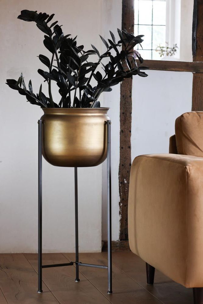 Popular Bronze Planter On Metal Stand (View 1 of 10)