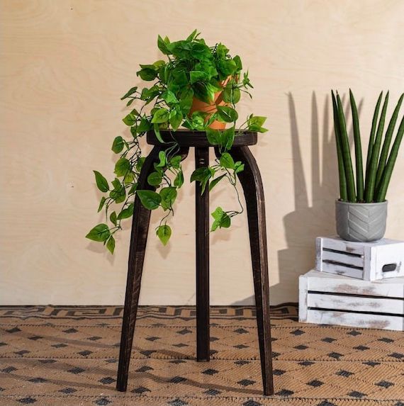 Popular Plant Stand Medium Size Indoor Plant Stand Plant Stool – Etsy With Medium Plant Stands (View 10 of 10)